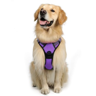 Dog Harness, No-Pull Pet Harness with 2 Leash Clips, Adjustable Soft Padded Dog Vest