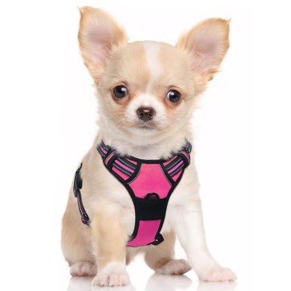 Dog Harness, No-Pull Pet Harness with 2 Leash Clips, Adjustable Soft Padded Dog Vest