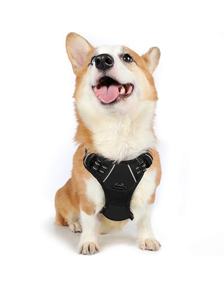 Dog Harness, No-Pull Pet Harness with 2 Leash Clips, Adjustable Soft Padded Dog Vest