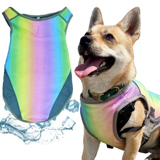 Cooling Dog Vest