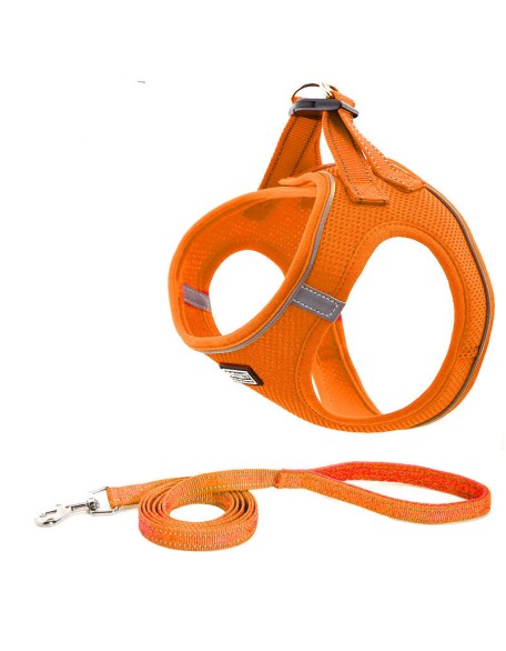 Dog Harness with Leash Set, No Pull Adjustable Reflective Step-in Puppy Harness