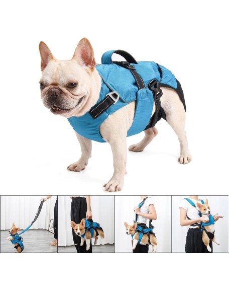 Dog Chest Carrier Harness Backpack with Walking Lead