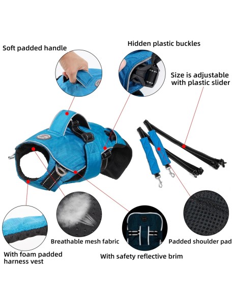 Dog Chest Carrier Harness Backpack with Walking Lead