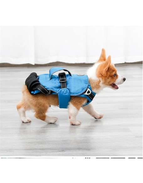 Dog Chest Carrier Harness Backpack with Walking Lead