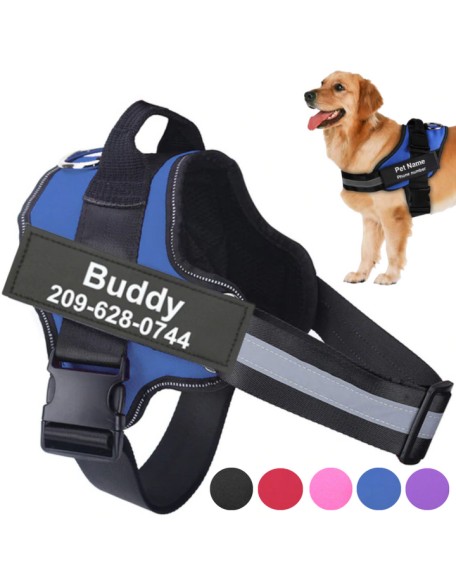 Best Custom Dog Harness No Pull Harnesses With Handle Personalized Name Tag