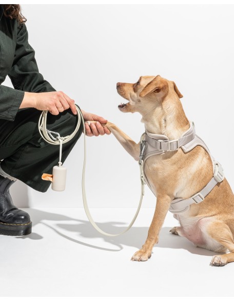 Dog Harness Walk Kit