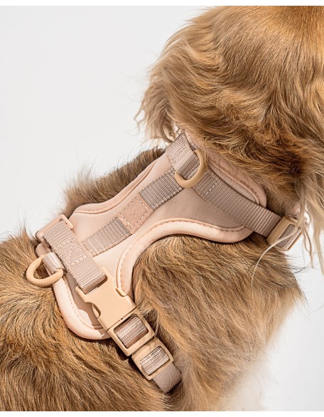 Dog Harness Walk Kit