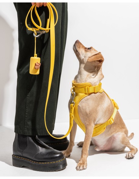 Dog Harness Walk Kit