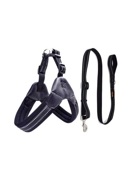 Buckle-up Easy Dog Harness