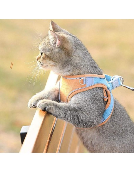 Escape Proof Cat Harness Vest & Leash