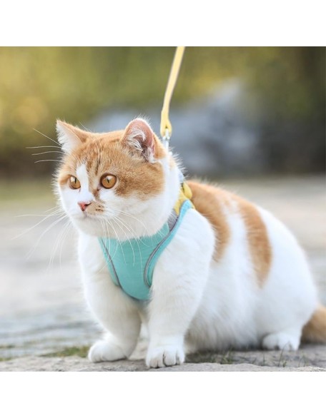 Escape Proof Cat Harness Vest & Leash