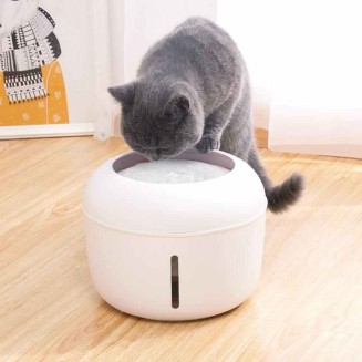 4-filter Pet Water Fountain