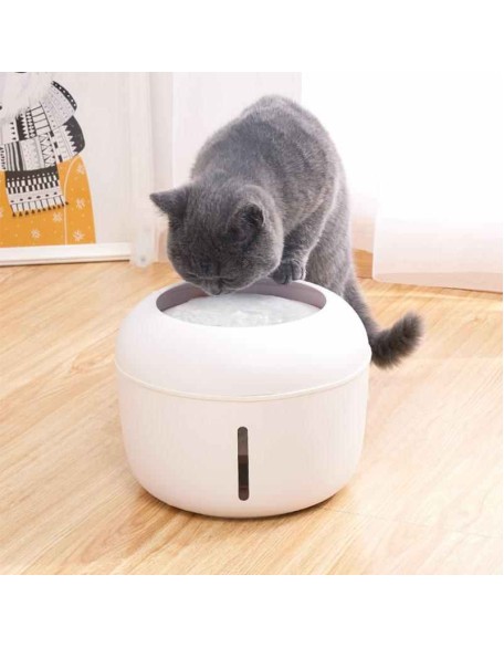 4-filter Pet Water Fountain