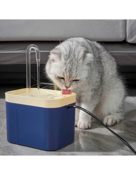 Filtered Water Fountain for Cats