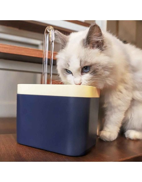 Filtered Water Fountain for Cats