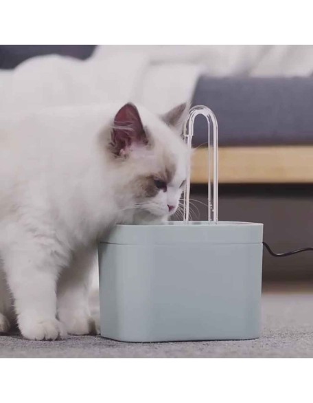 Filtered Water Fountain for Cats