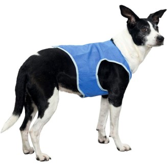 Summer Dog Cooling Vest