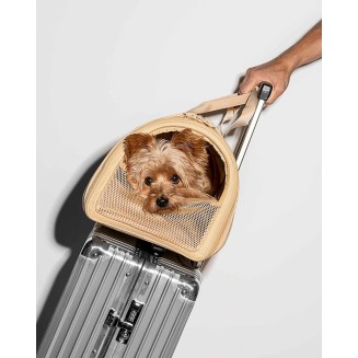 Pet Carrier Airline Approved, Carriers for Medium Cats and Small Dogs