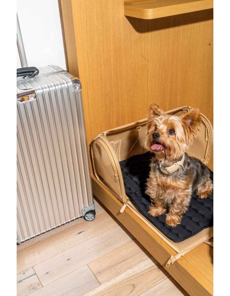 Pet Carrier Airline Approved, Carriers for Medium Cats and Small Dogs