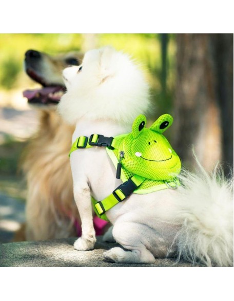 Backpack Harness Set