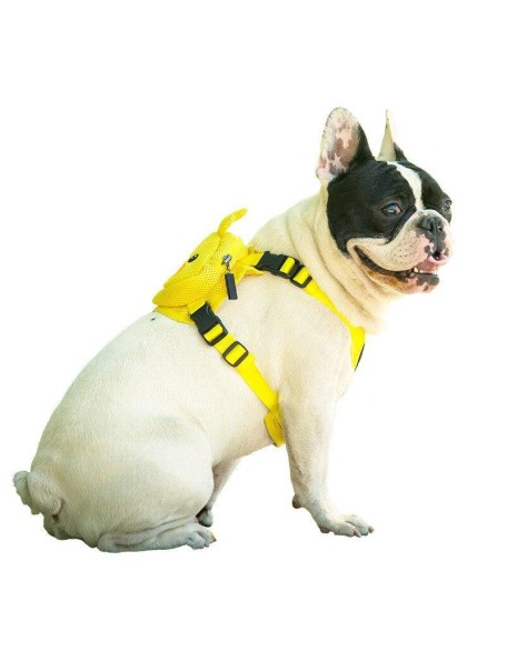 Backpack Harness Set