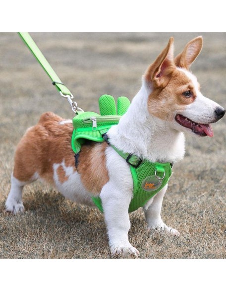 Backpack Harness Set