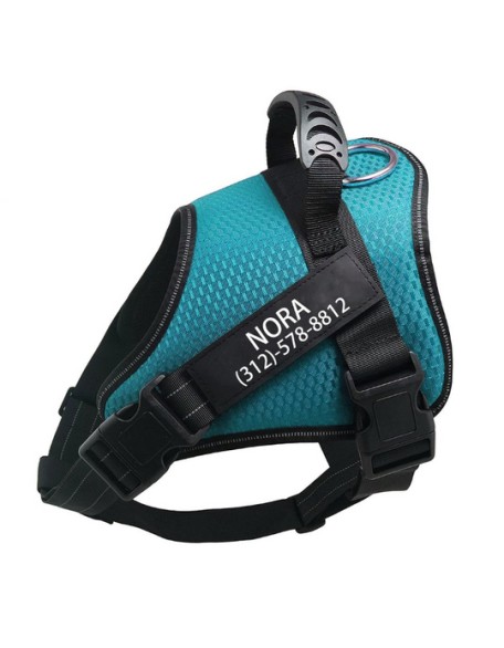 Personalized No Pull Dog Harness