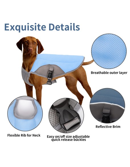 2022 Best Dog Cooling Vest