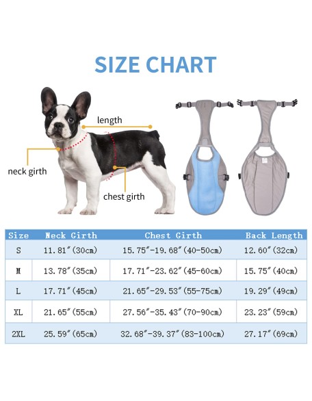 2022 Best Dog Cooling Vest