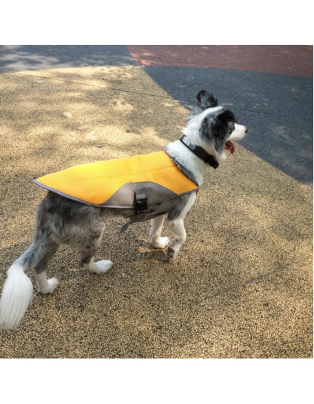 2022 Best Dog Cooling Vest