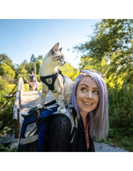 Reflective Cat & Kitten Harness And Leash Set