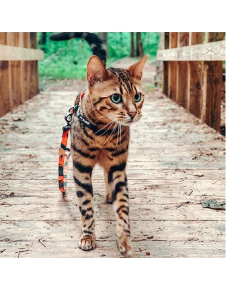 Easy Control Cat Harness and Leash Set for Walking