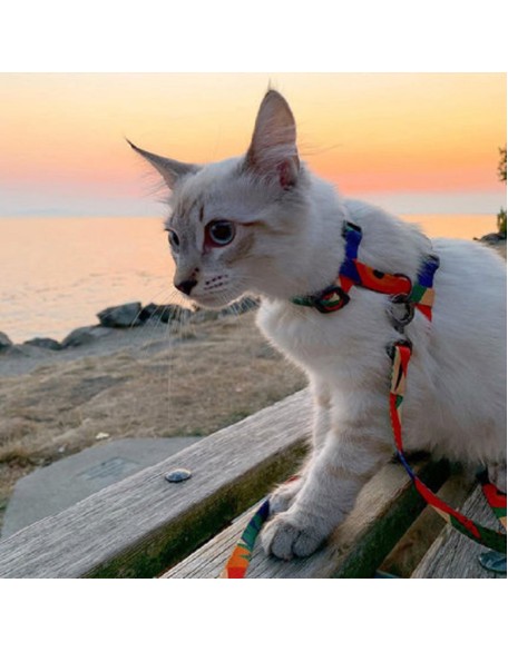 Easy Control Cat Harness and Leash Set for Walking