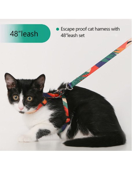 Easy Control Cat Harness and Leash Set for Walking