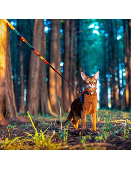 Easy Control Cat Harness and Leash Set for Walking