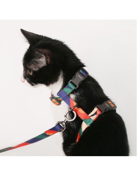 Easy Control Cat Harness and Leash Set for Walking