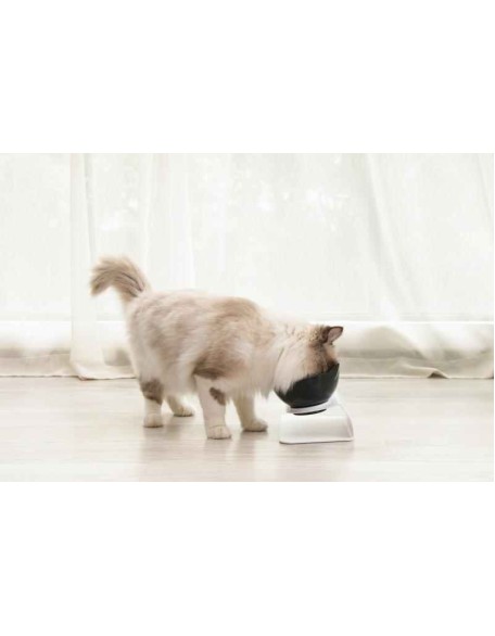 Elevated Cat Bowl - Anti-Vomiting Orthopedic Cat Bowl