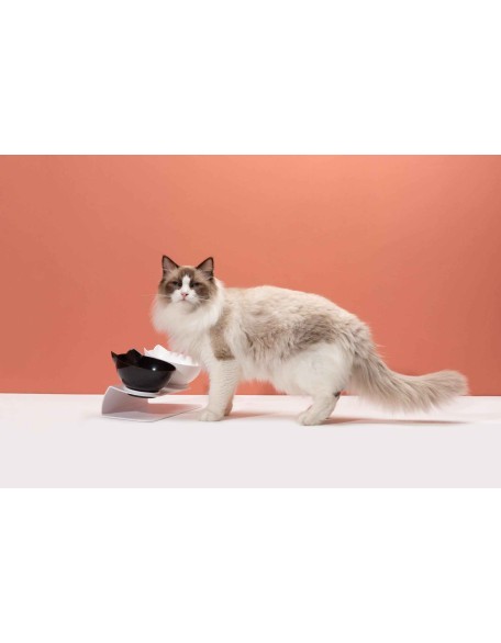 Elevated Cat Bowl - Anti-Vomiting Orthopedic Cat Bowl