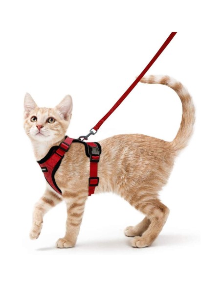 Cat Harness and Leash Set for Walking Cat and Small Dog Harness