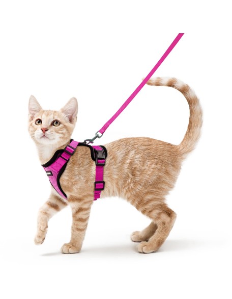 Cat Harness and Leash Set for Walking Cat and Small Dog Harness