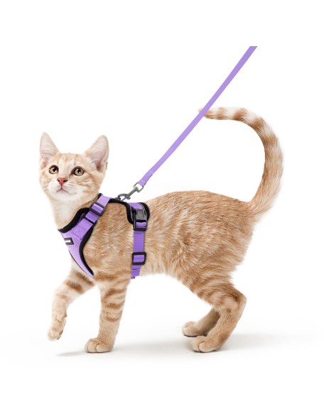 Cat Harness and Leash Set for Walking Cat and Small Dog Harness