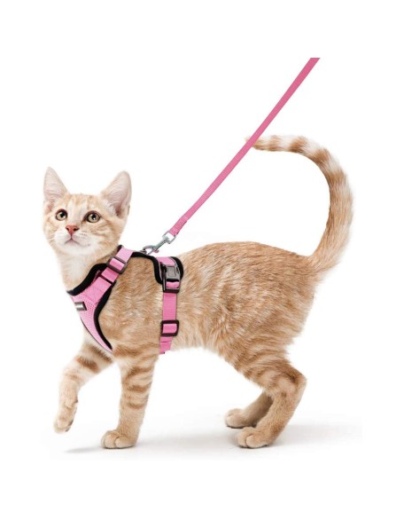 Cat Harness and Leash Set for Walking Cat and Small Dog Harness