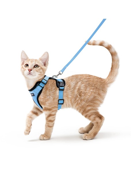 Cat Harness and Leash Set for Walking Cat and Small Dog Harness