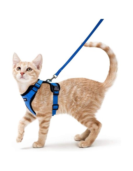 Cat Harness and Leash Set for Walking Cat and Small Dog Harness