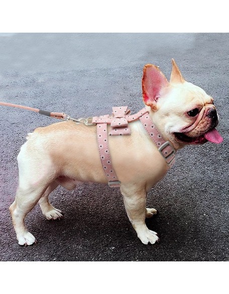 Adjustable Harness and Leash