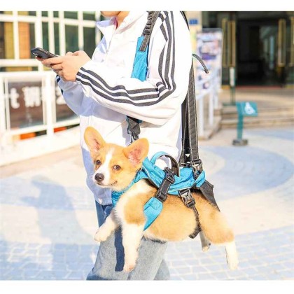 Dog Chest Carrier Harness Backpack with Walking Lead