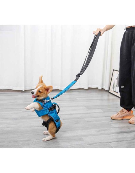 Dog Chest Carrier Harness Backpack with Walking Lead