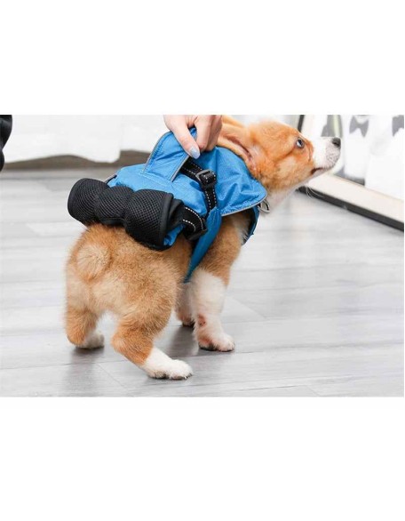 Dog Chest Carrier Harness Backpack with Walking Lead