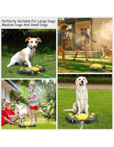 Dog Water Fountain - Dog Water Bowl Fountain - Dog Fountain