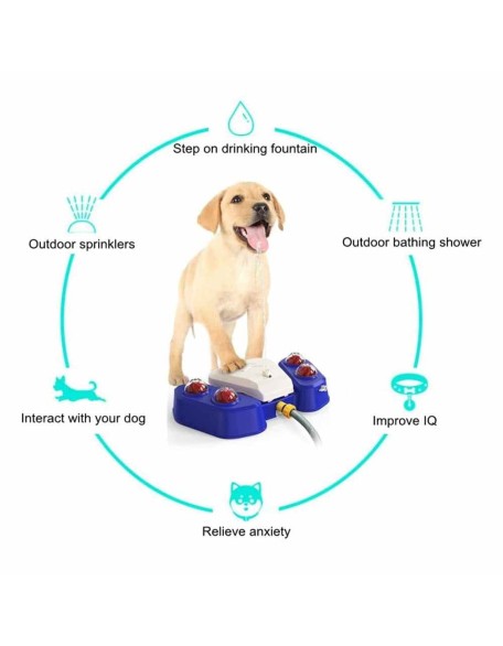 Dog Water Fountain - Dog Water Bowl Fountain - Dog Fountain